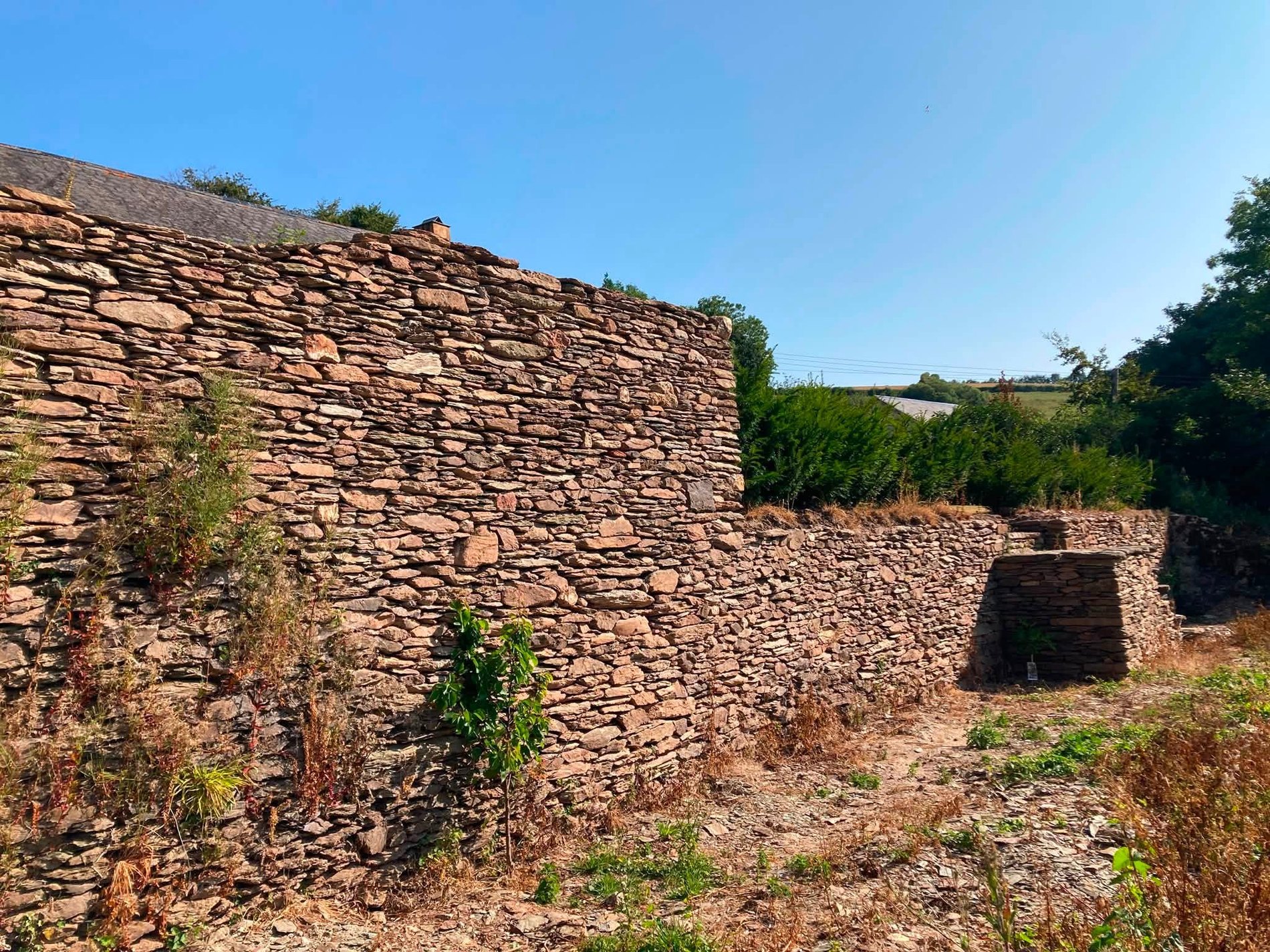 Dry Stone Terracing